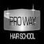 Pro Way Hair School
