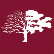 College of Wilmington